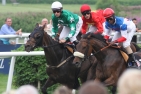 Pferde und Jockeys im Rennen