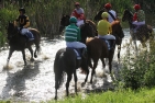 Pferde und Reiter im See
