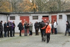 Besichtigung der Pferde bei der 1. Autumn Auction
