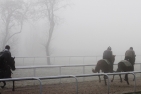 Lot im Mahndorfer Nebel