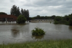 Hochwasser auf der Rennbahn Halle (Saalepegel 681 cm)