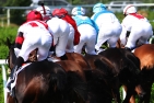 Jockeys und Pferde von hinten