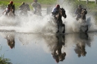 Indian Sun siegt unter Jan Korpas im Seejagdrennen