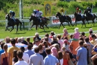 Pferderennen in Bad Harzburg
