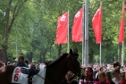 Galopp in Dortmund