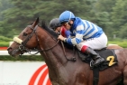Western Dancer siegt unter Andreas Suborics