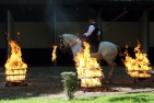 Working Equitation with Fire